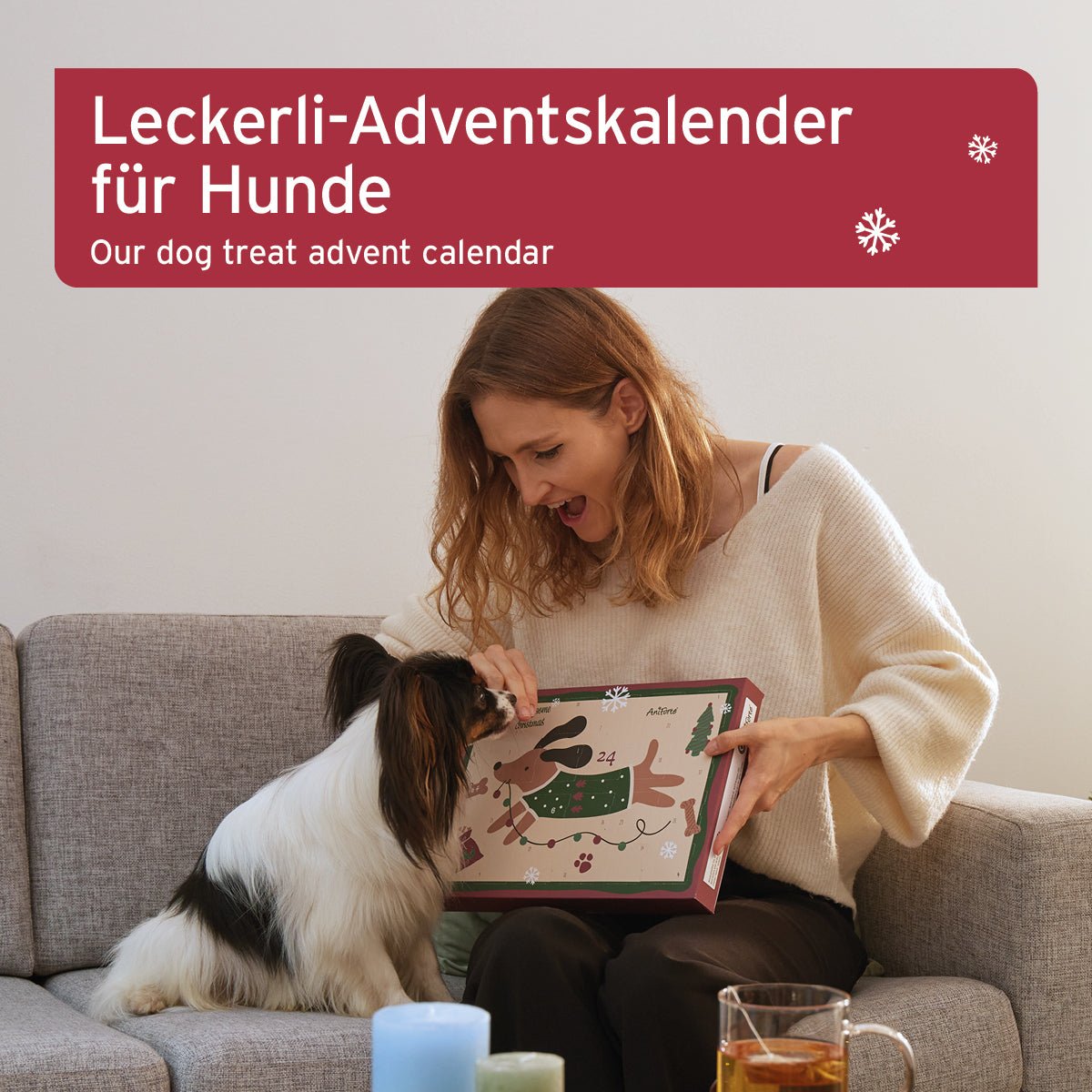 Adventskalender 2024 für Hunde - AniForte