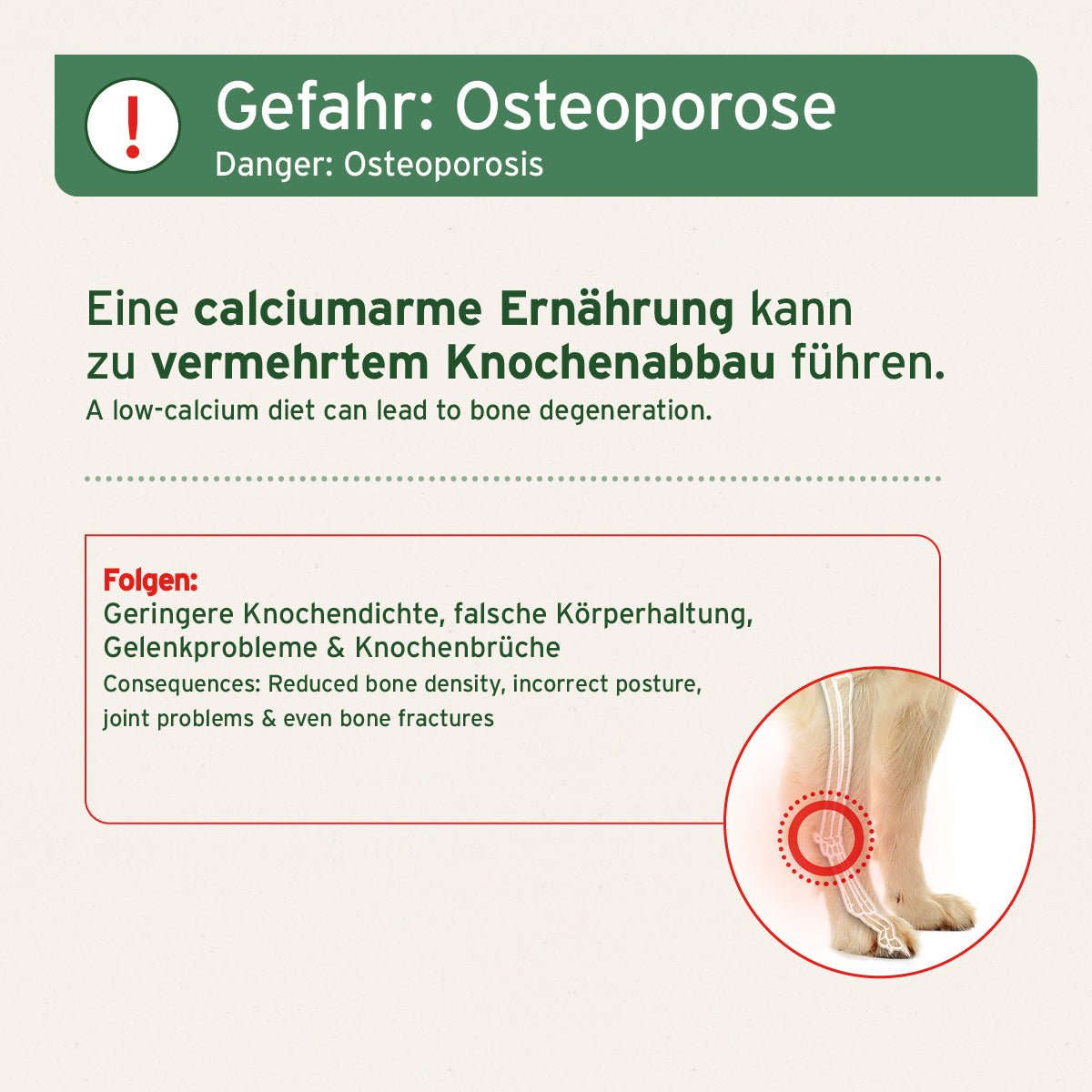 BARF - Line Gemahlene Knochen vom Rind - AniForte