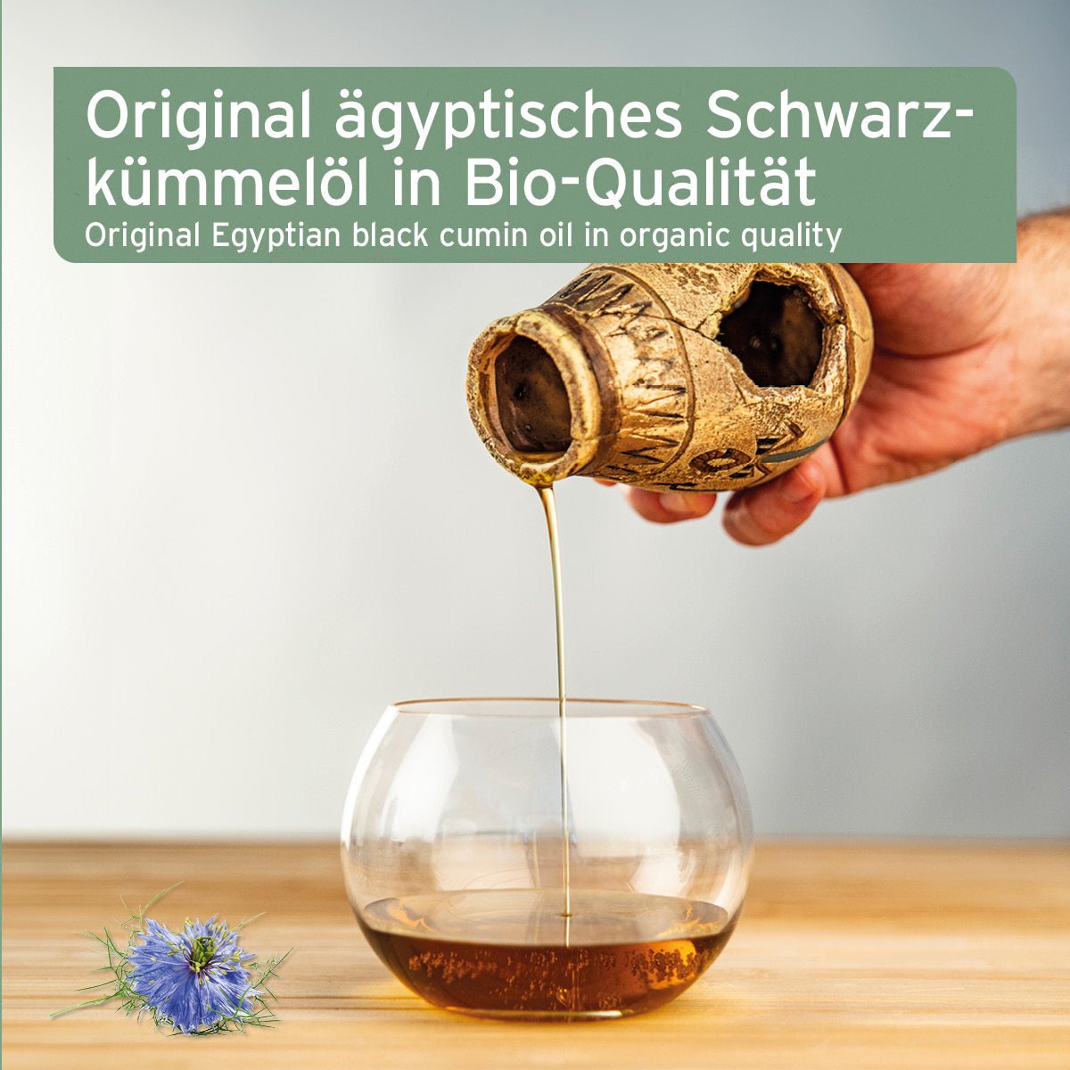 Bio Ägyptisches Schwarzkümmelöl - AniForte