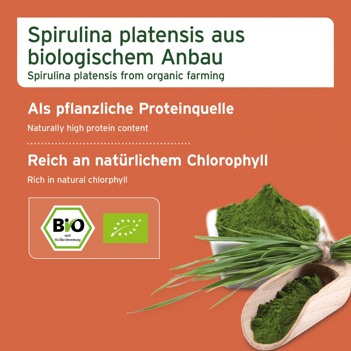 Bio Spirulina Pulver - AniForte