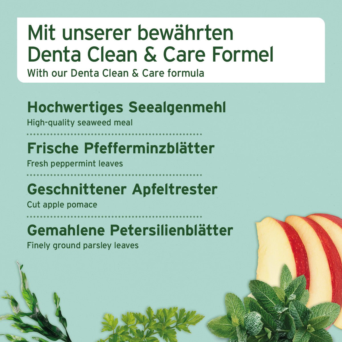 Denta Clean & Care Sticks Mini - AniForte