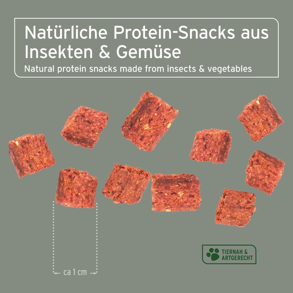 Dog Snacks Insekten - AniForte