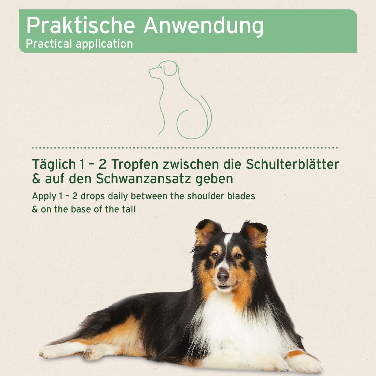 Ectoprotex Spot - on für Hunde - AniForte