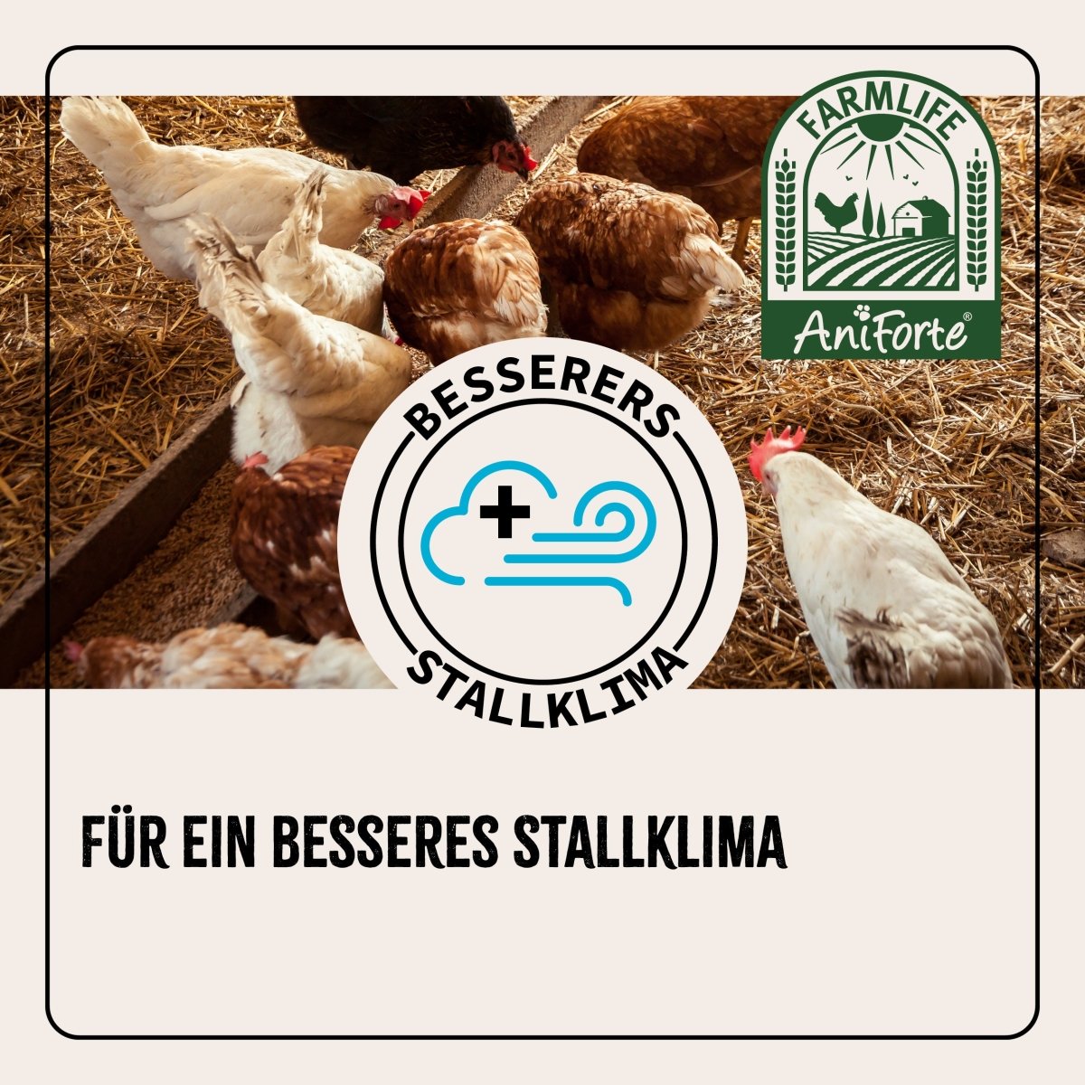 FarmLife Kieselgur Pulver 200g - ehemals Milben - STOP - AniForte