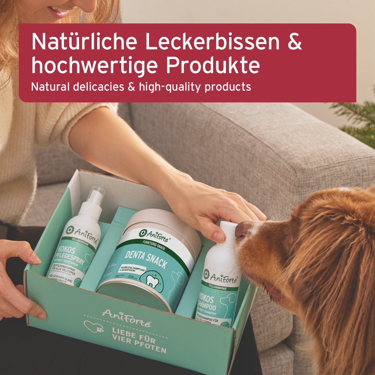 Geschenk Box Pflege für Hunde - AniForte