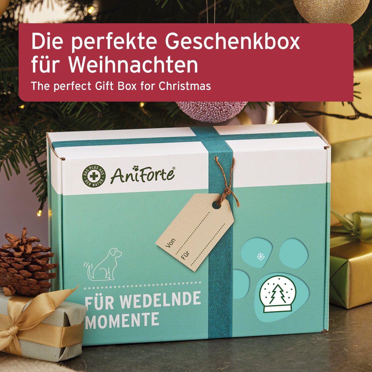 Geschenk Box Pflege für Hunde - AniForte