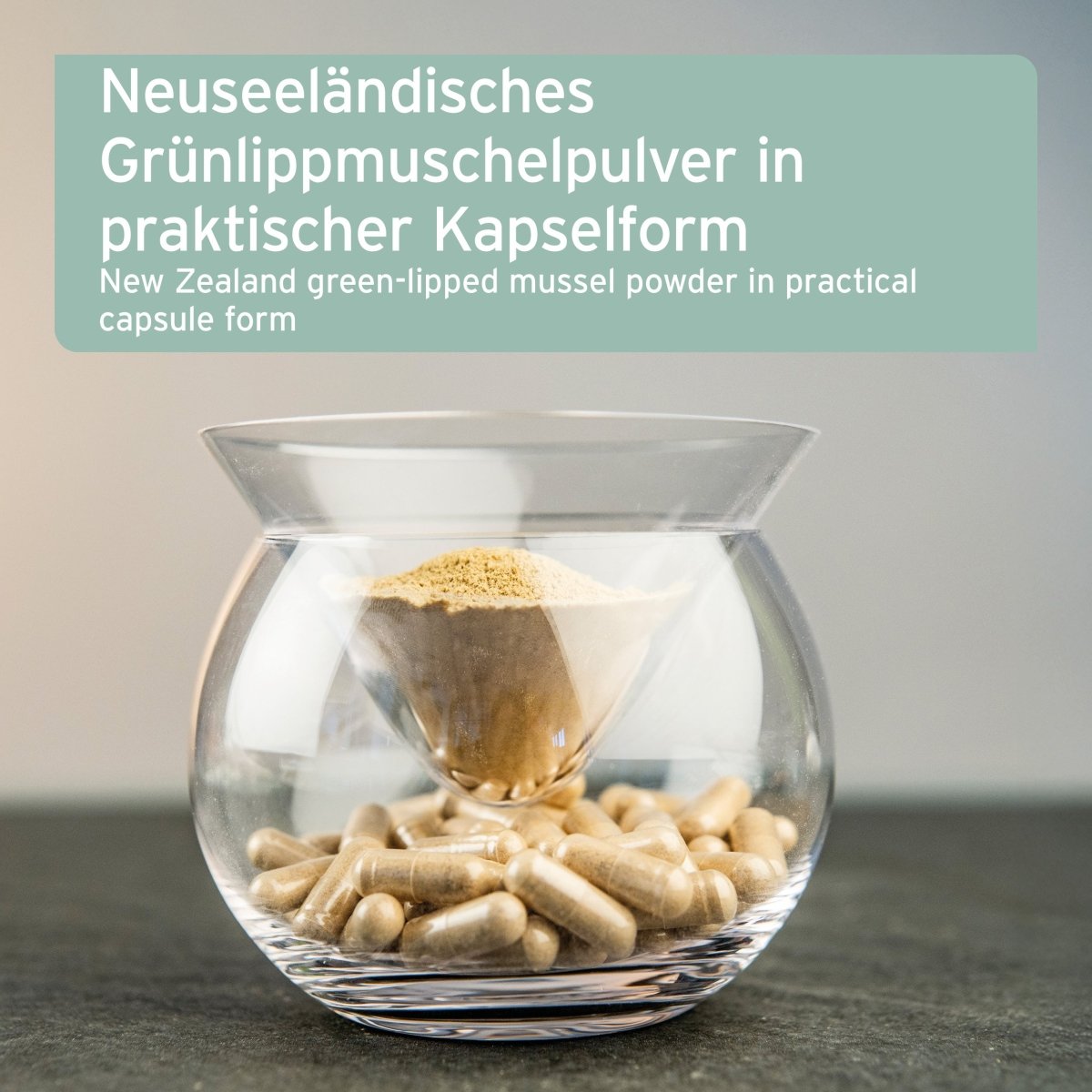 Grünlippmuschel Kapseln - AniForte