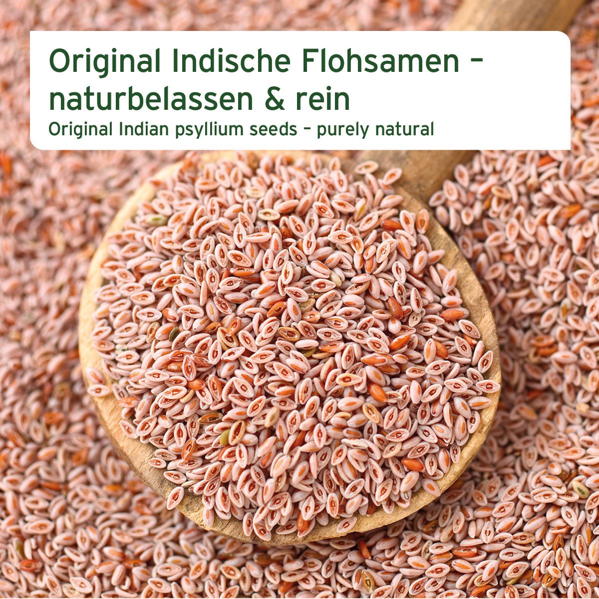 Indische Flohsamen - AniForte