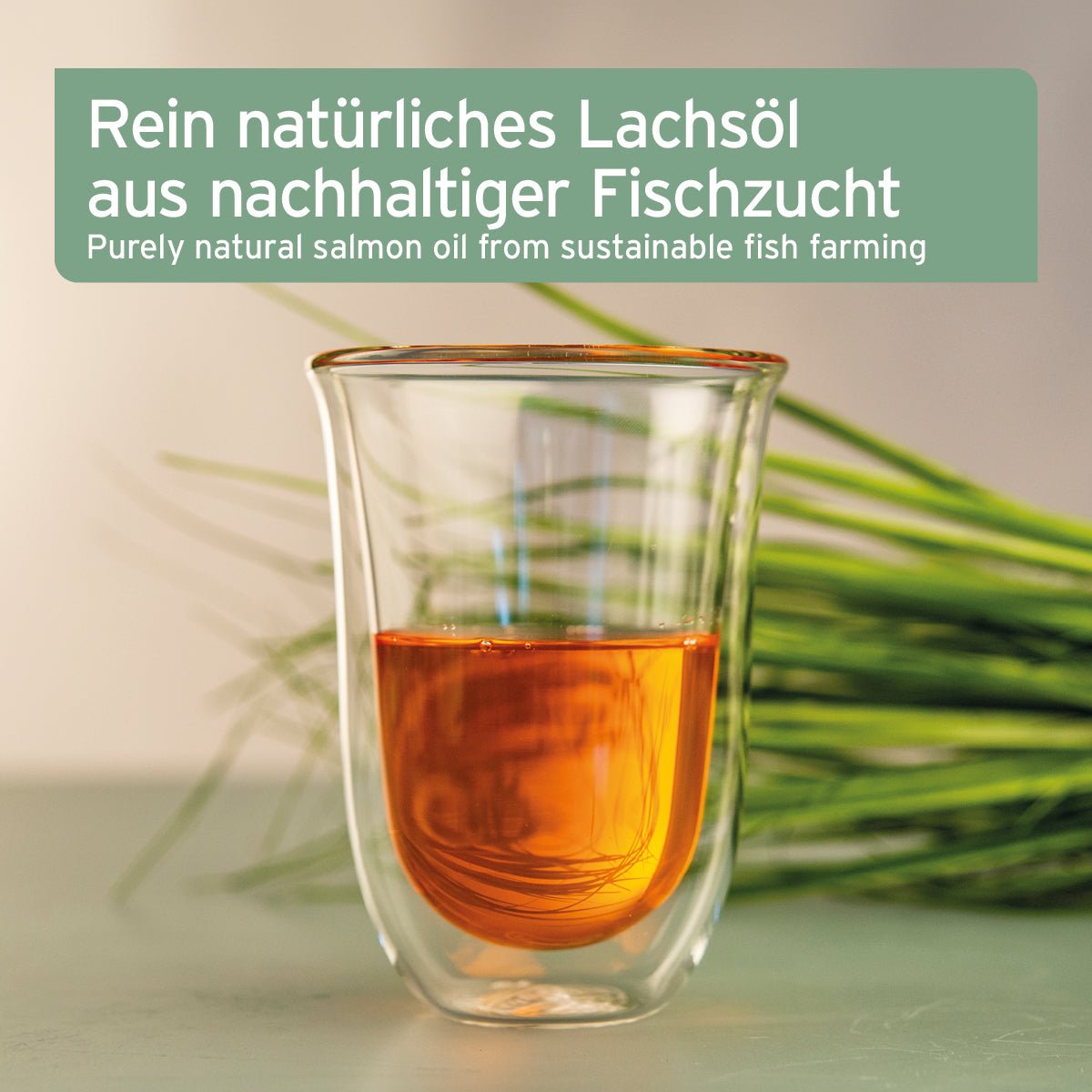 Rein natürliches Lachsöl aus nachhaltiger Fischzucht