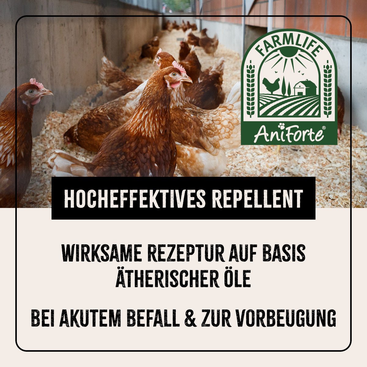 Milben - STOP Spray für Hühner - AniForte