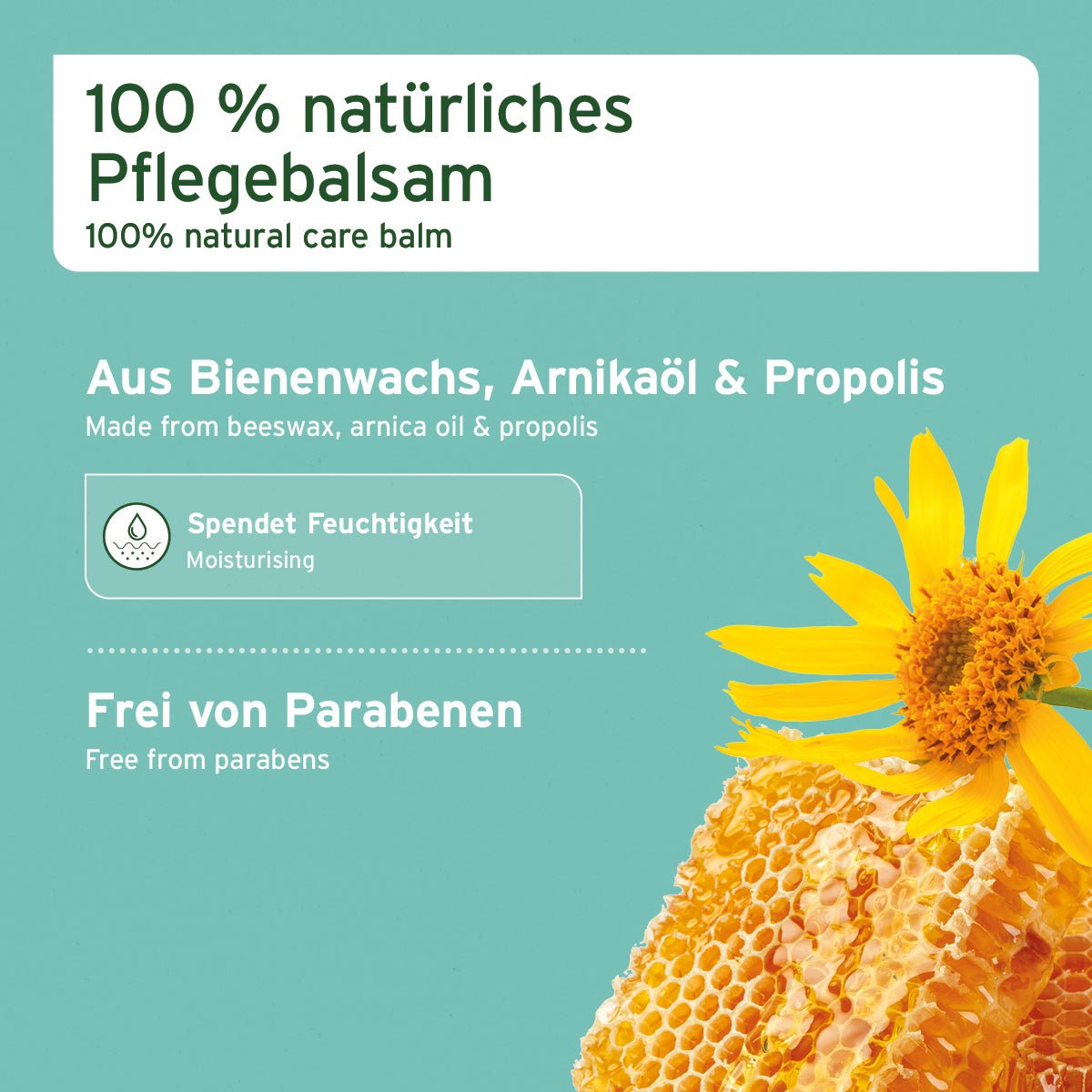 Pfotenschutz Balsam - AniForte