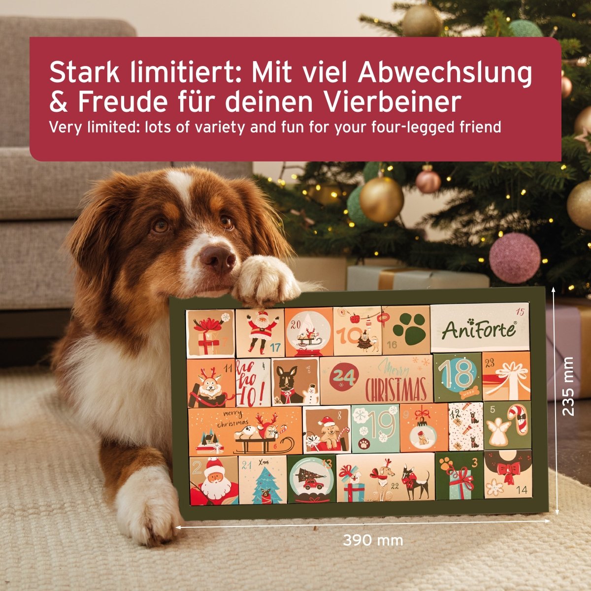 Premium Adventskalender 2024 für Hunde - AniForte