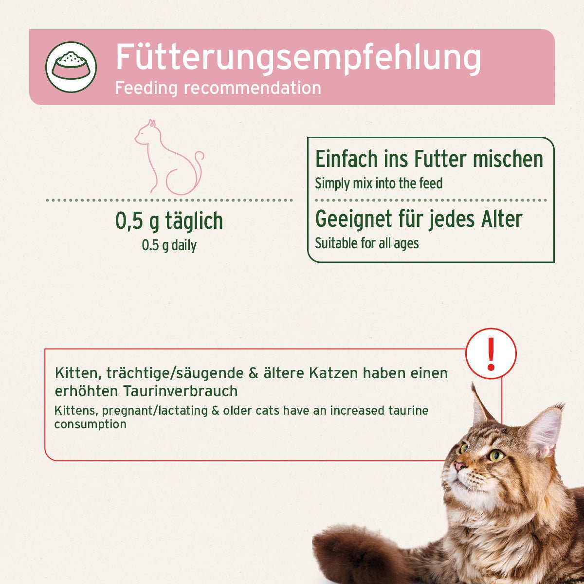 Taurin Pulver für Katzen - AniForte