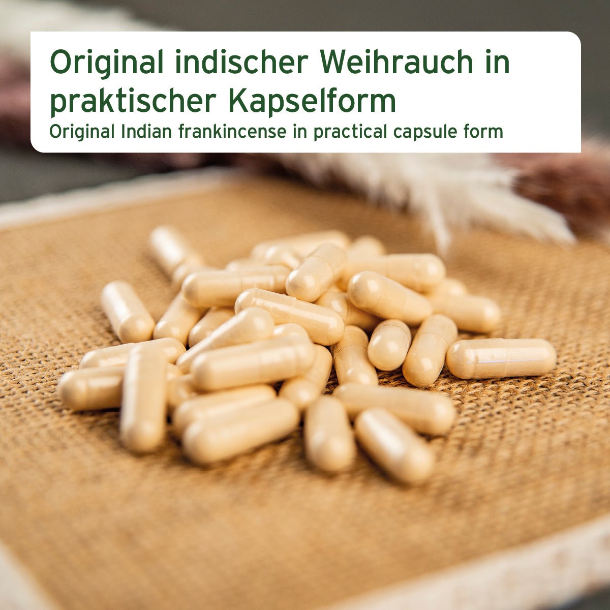 Weihrauch Kapseln - AniForte